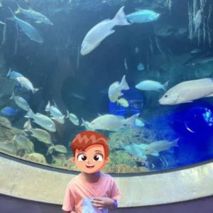 WhatsApp Image 2024-04-23 at 7.37.21 PM